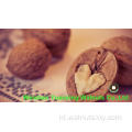 Chinese Nutritive Walnut Kernels Light Pieces (LP)